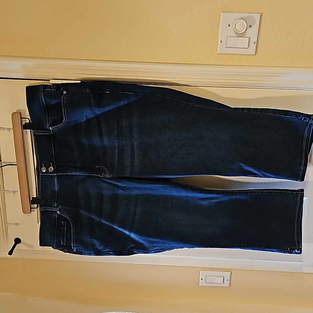 Lane Bryant High Rise Skinny Jeans Dark Blue in size 26